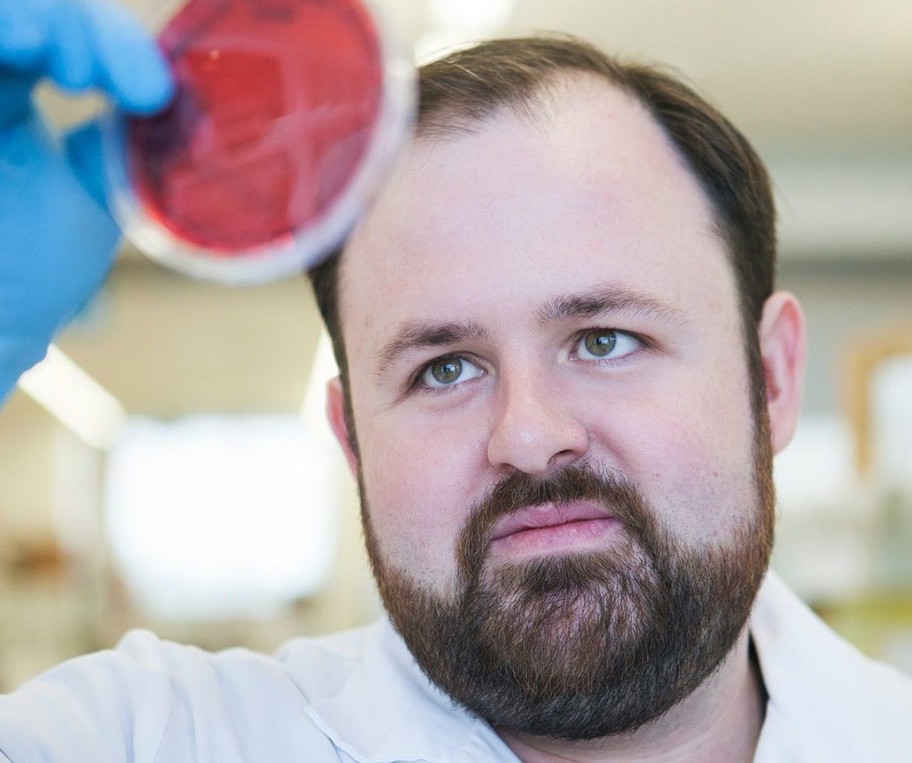 Fellowship awarded to Perkins researcher to fight antibiotic resistance ...